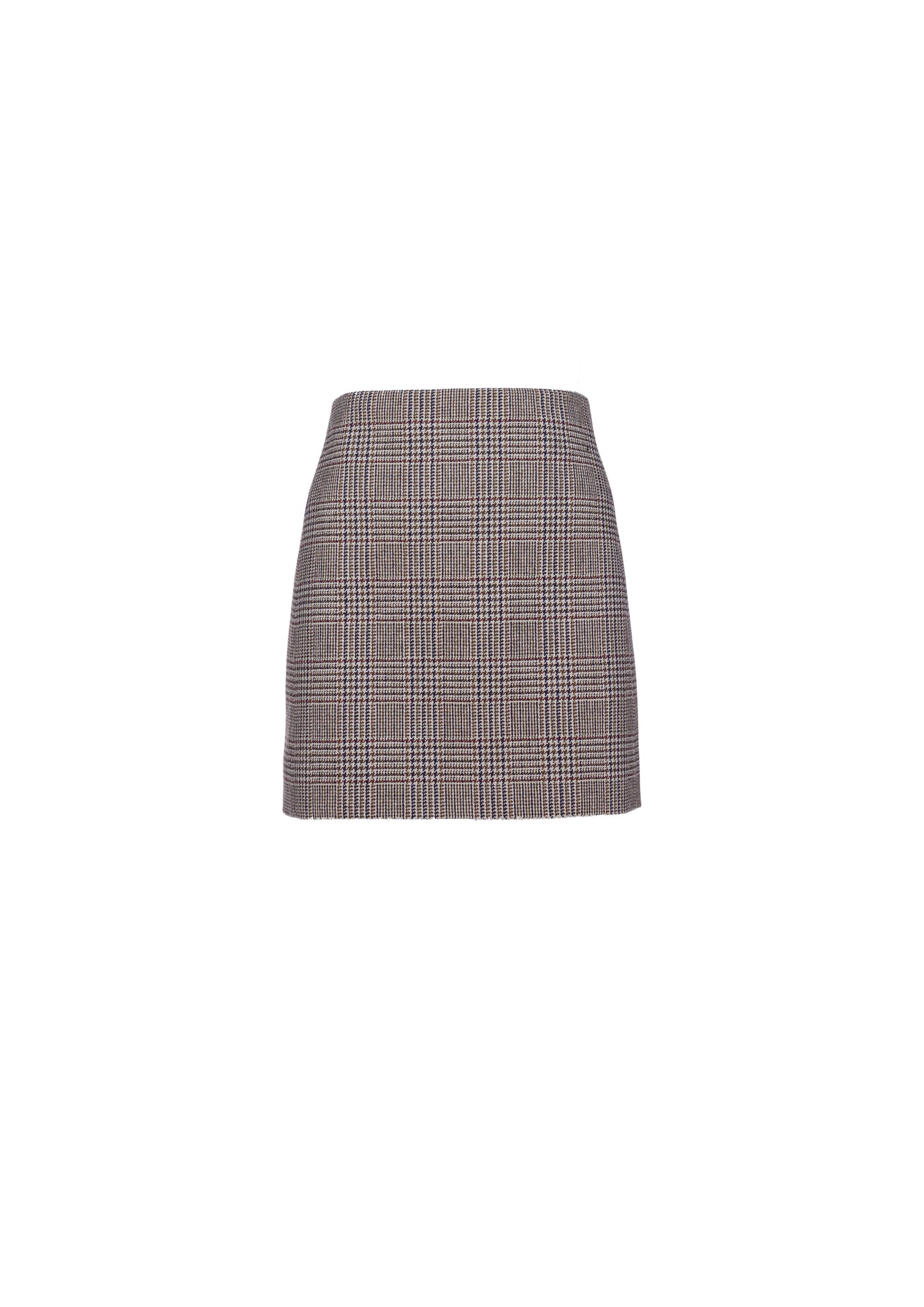 The Mini Skirt