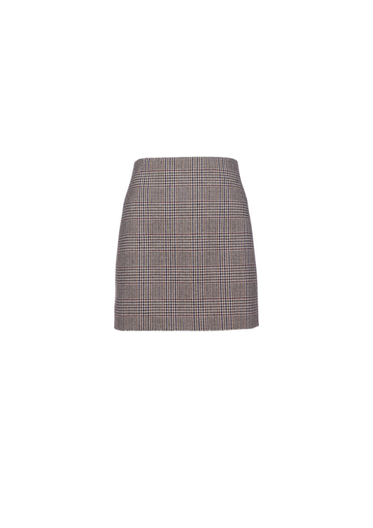 The Mini Skirt